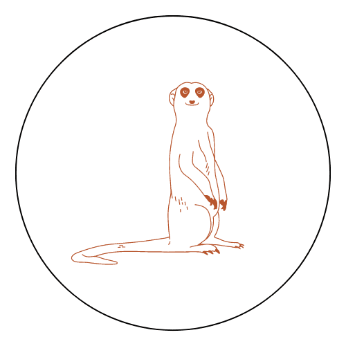 Wandering Meerkat logo